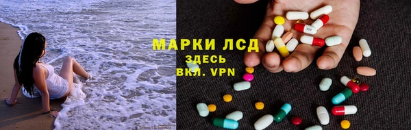 прущие крисы Горняк