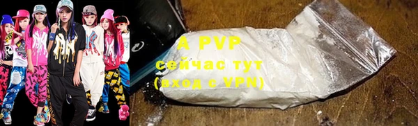 прущие крисы Горняк