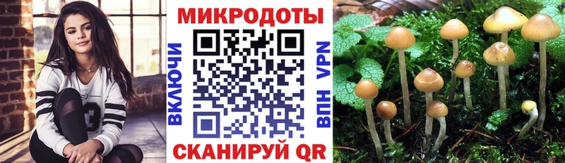 Псилоцибиновые грибы GOLDEN TEACHER  закладки  mega вход  Лыткарино 